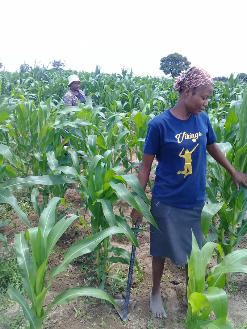 Crop Production & Value Addition