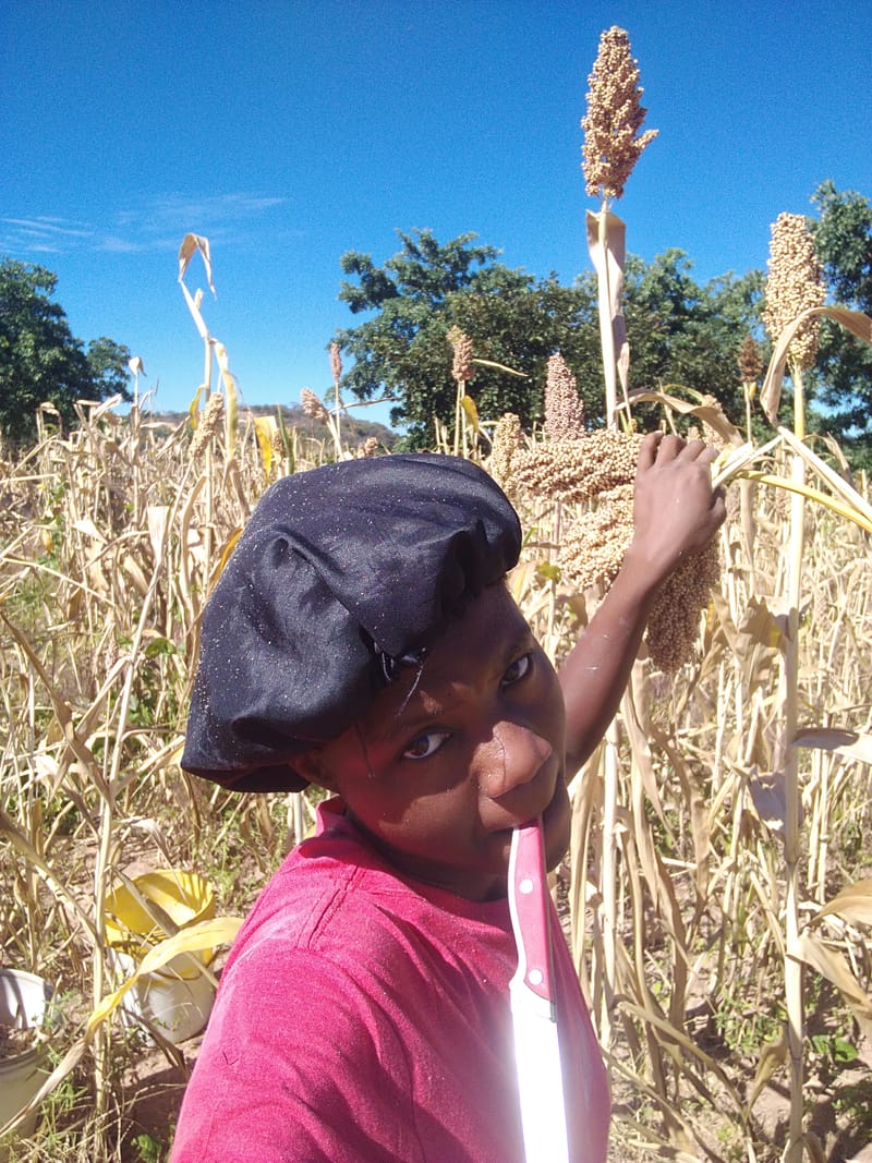 Crop Production & Value Addition