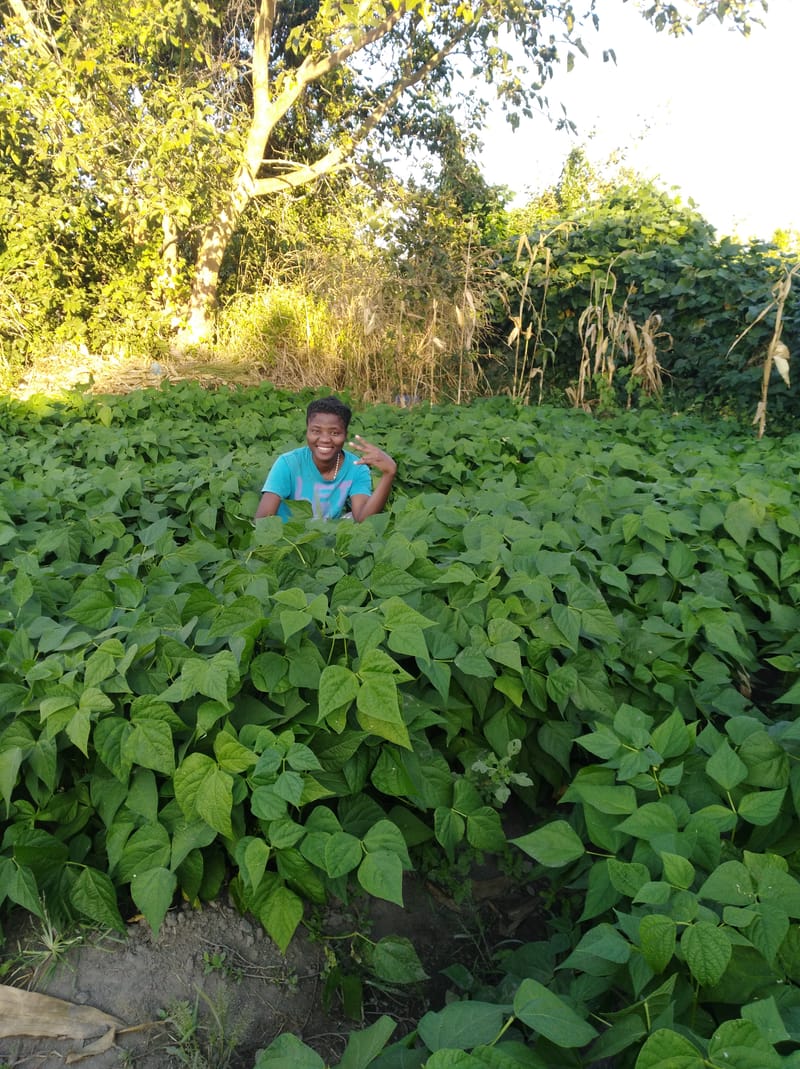 Crop Production & Value Addition