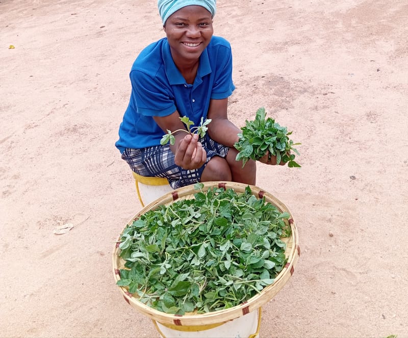 Crop Production & Value Addition