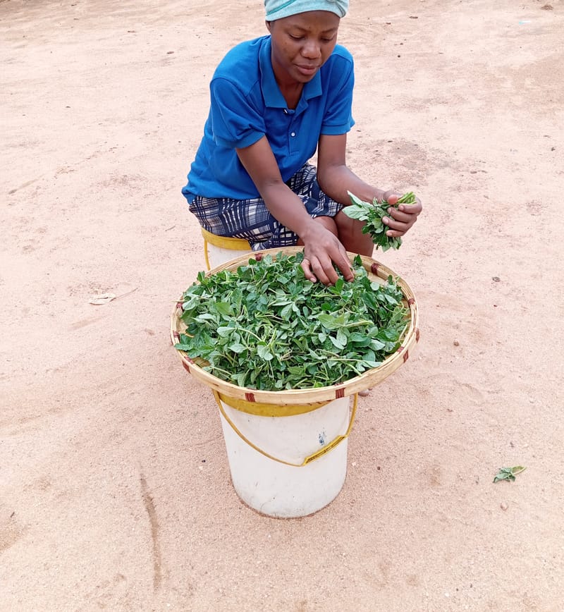 Crop Production & Value Addition