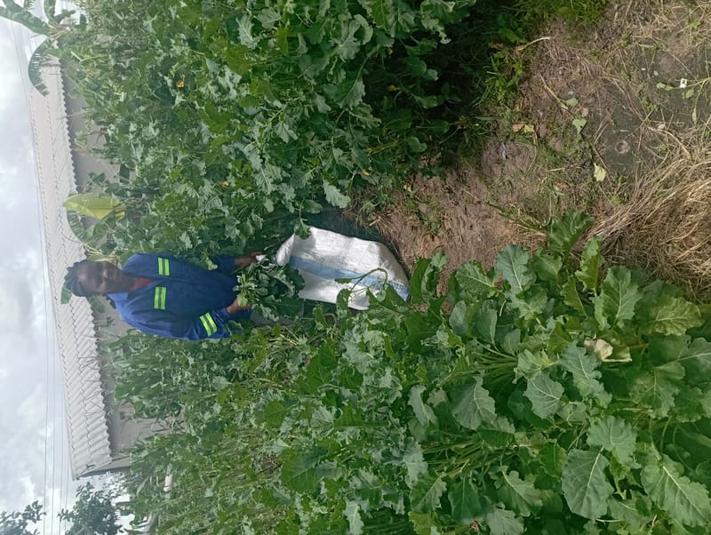 Crop Production & Value Addition