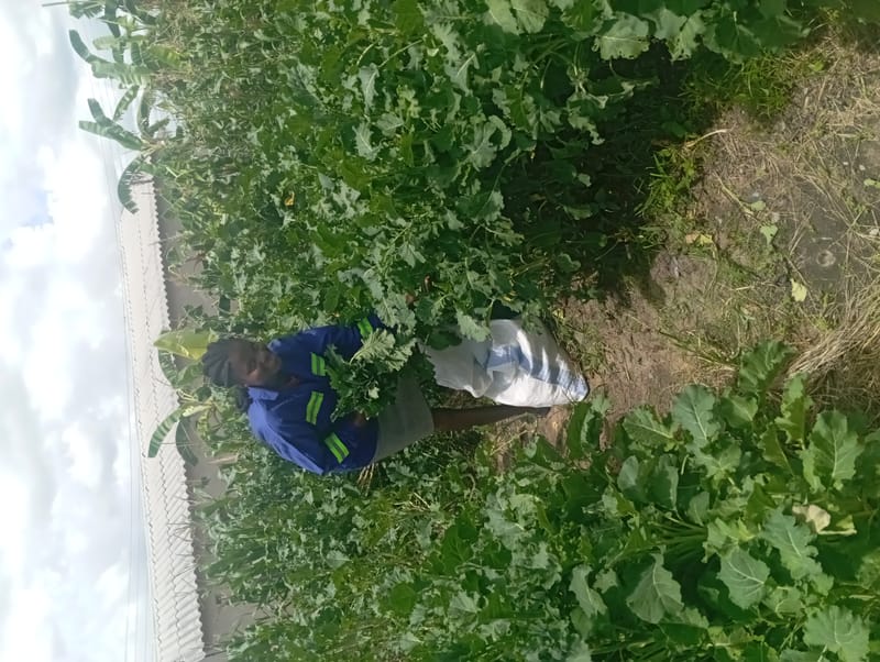 Crop Production & Value Addition