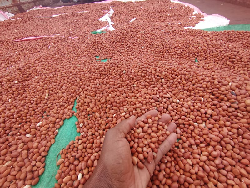 Crop Production & Value Addition