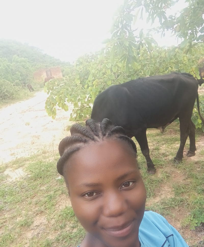 Livestock production