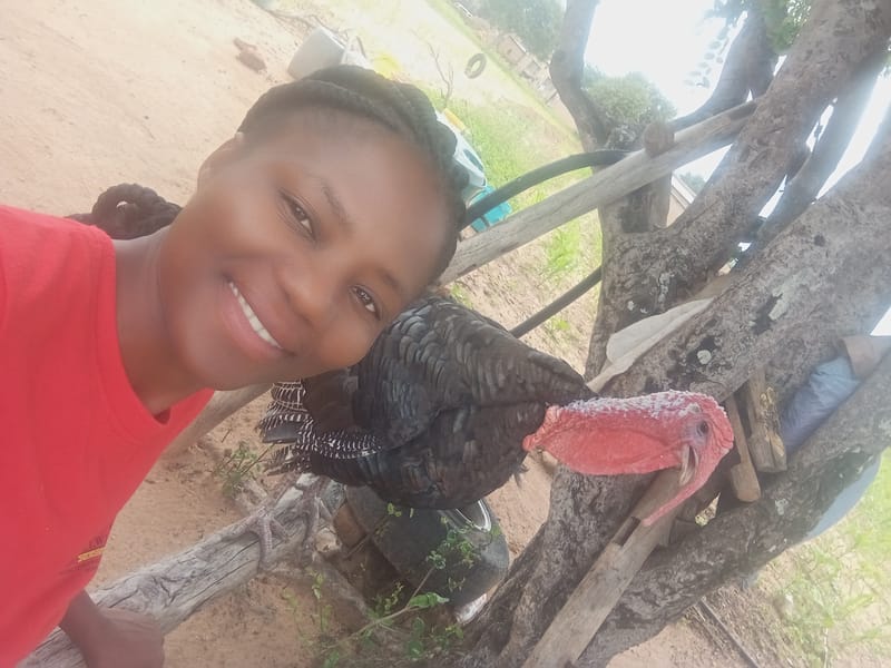 Livestock production