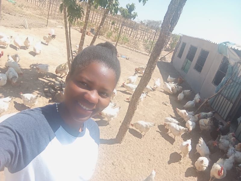 Livestock production