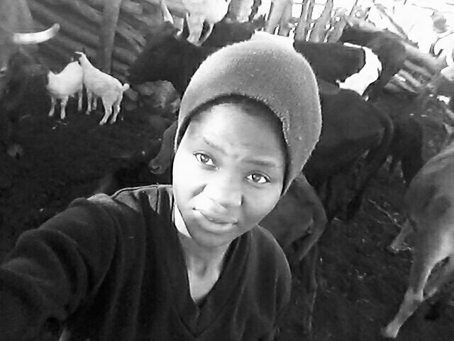 Livestock production