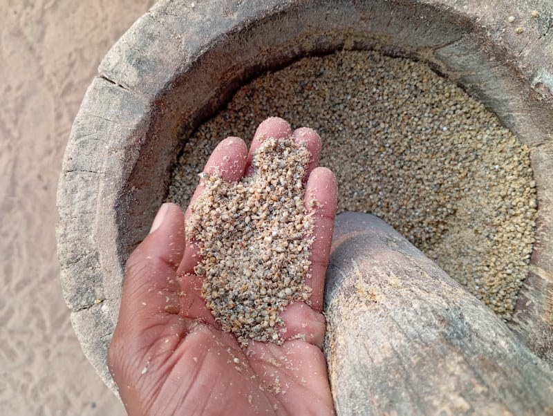 Crop Production & Value Addition