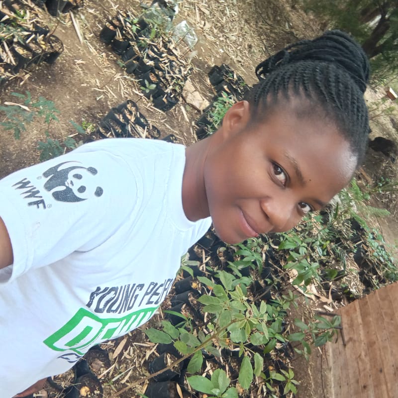 Nature Conservation, Land Restoration, Soil Healthy, Climate Action