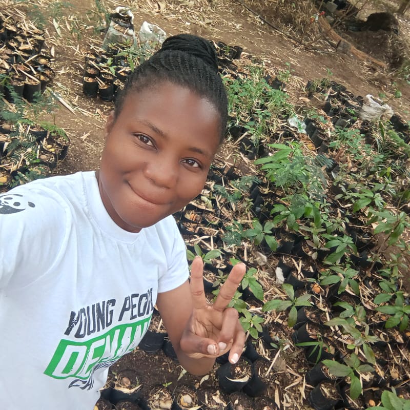 Nature Conservation, Land Restoration, Soil Healthy, Climate Action