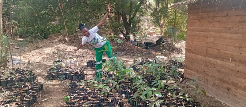 Nature Conservation, Land Restoration, Soil Healthy, Climate Action