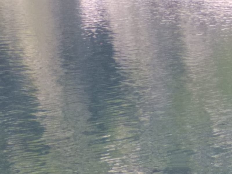 Sacred waters in the works of photographer by Laima Perkauskienė