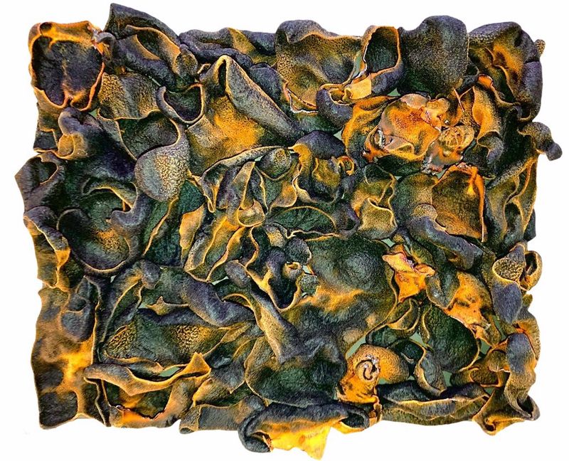 Miami artist Star Smart  Smart’s artworks: when history is reborn