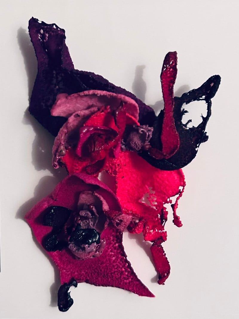 Artist Star Smart from Majami 2026