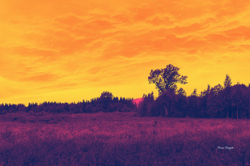 The artist, essayist, writer Tomas Kregždė portfolio 2026