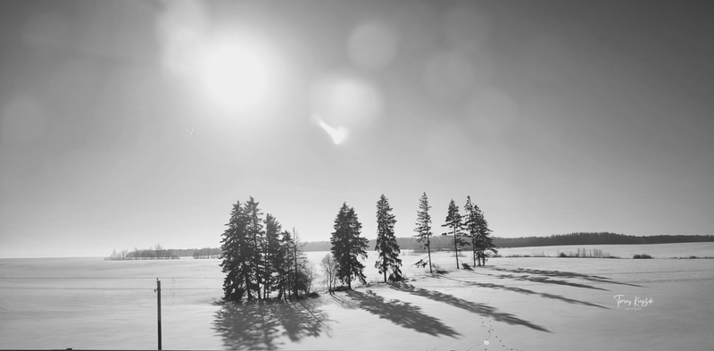 The artist, essayist, writer Tomas Kregždė portfolio 2026