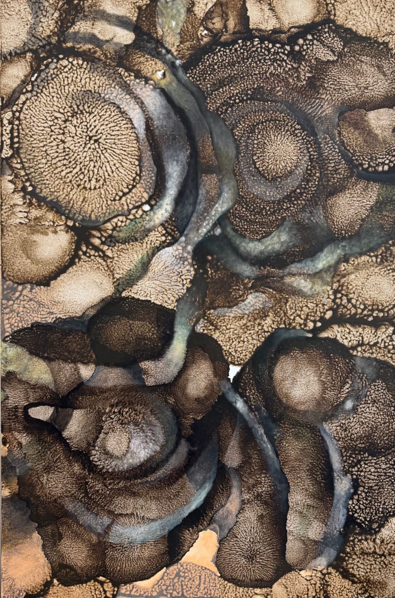 The painter and Jewelry artist Živilė Vaičiukynienė portfolio 2026