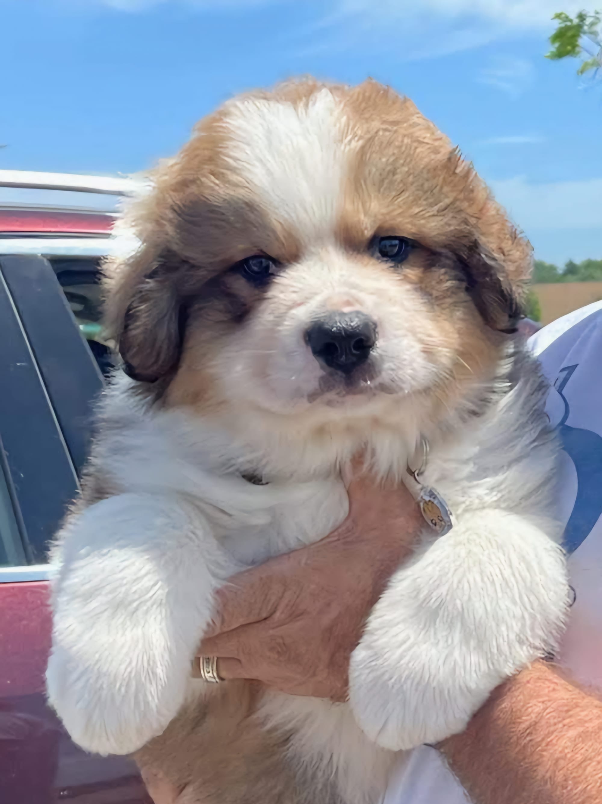 18 lbs at 7 weeks