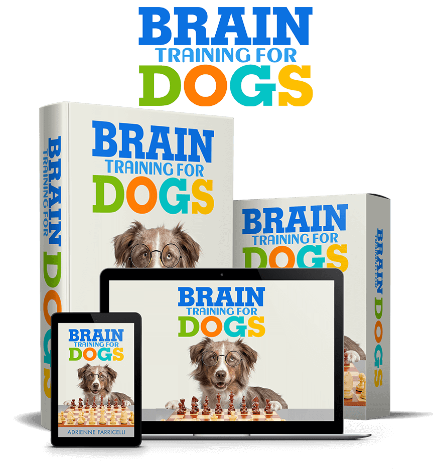 Dog Training