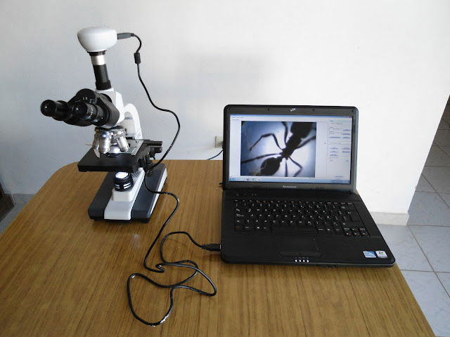 Microscopio Trinocular SME F6E con Cámara Digital de 1.3 MP