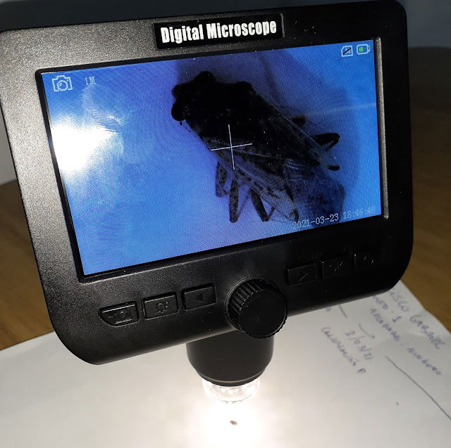 Microscopio Digital LCD 4.3" (50-1000x) USB WiFi