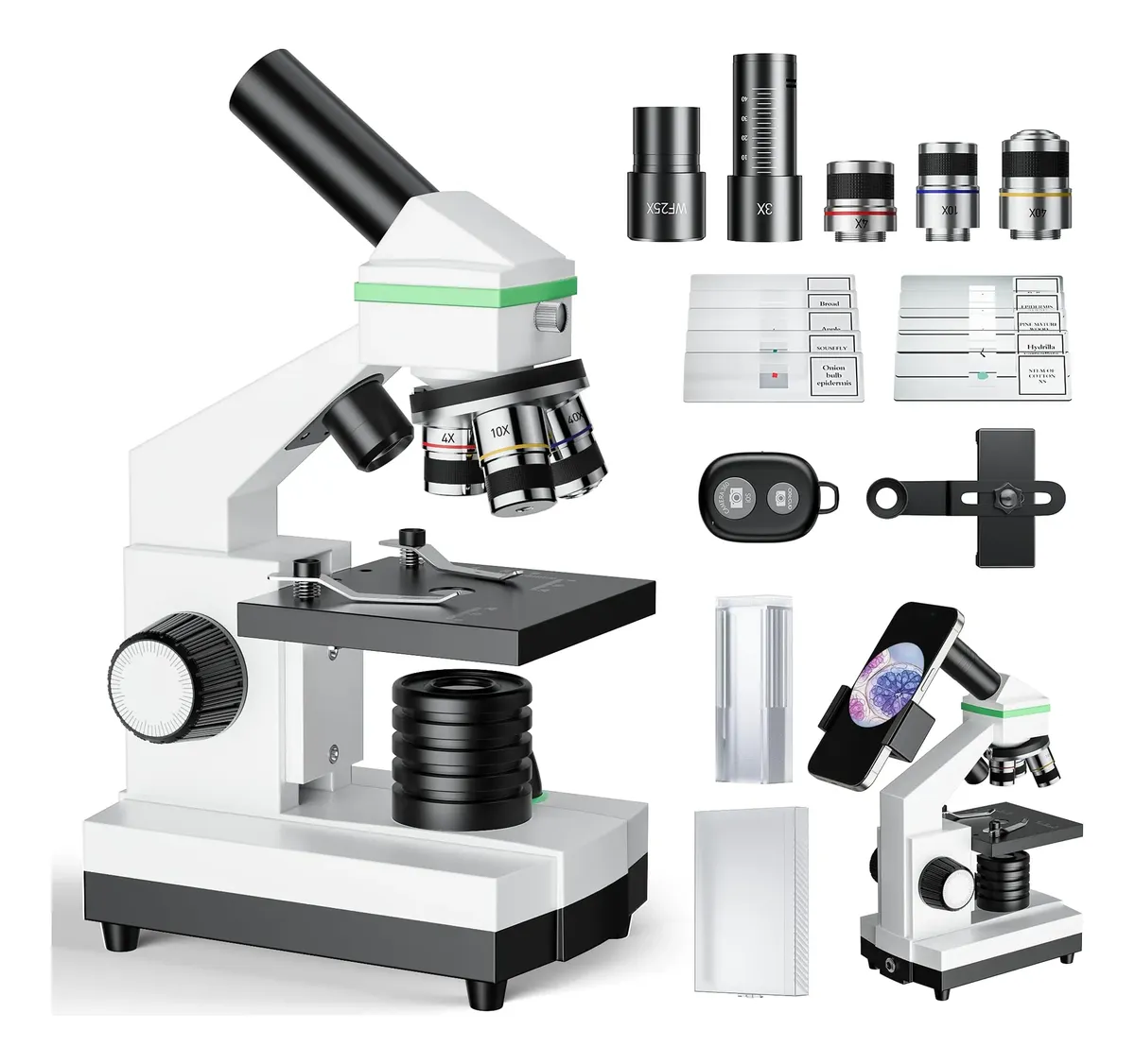 Microscopio Biológico Profesional (100x-3000x)