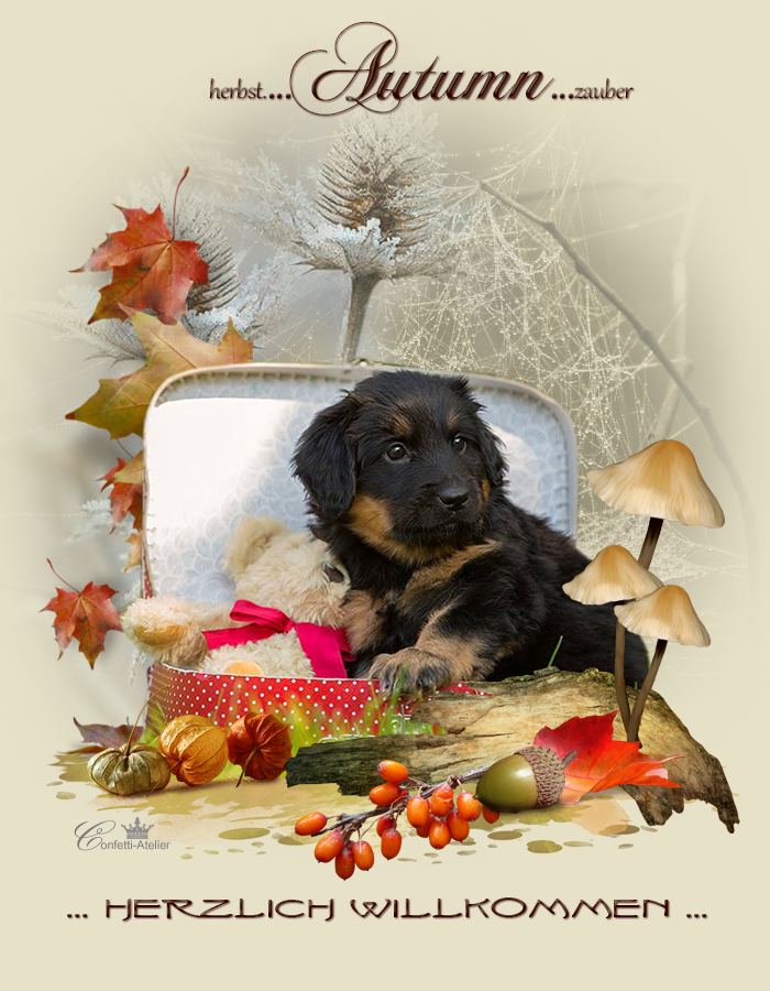 Impressionen der Nachkommen unserer Zucht