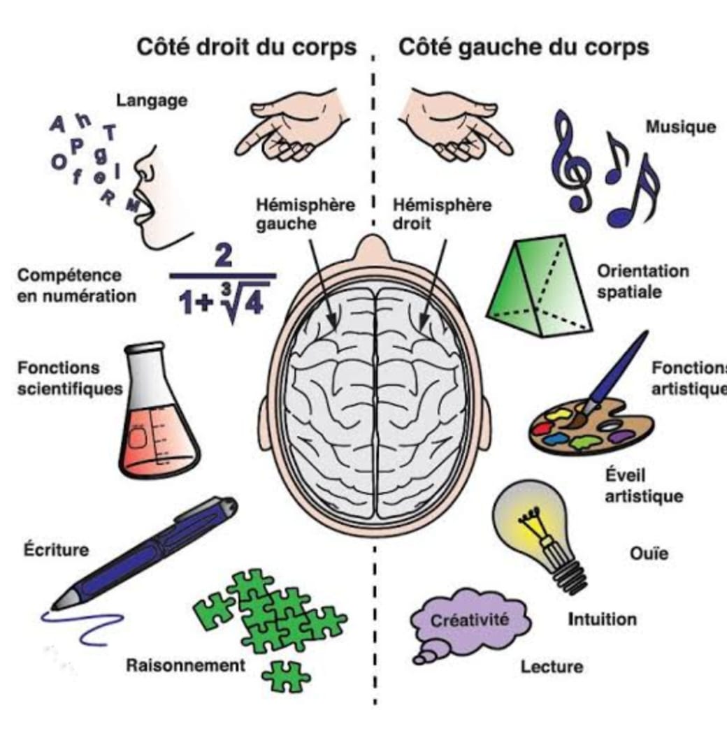 Education kinestesique pour tous