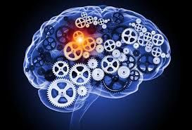  Neurosciences et mouvement dans l’apprentissage cognitif