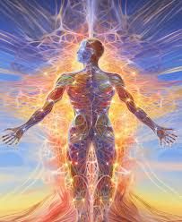 Reiki et vibrations des organes