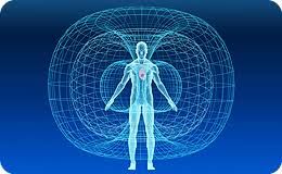 champ biomagnetique humain et reiki a distance