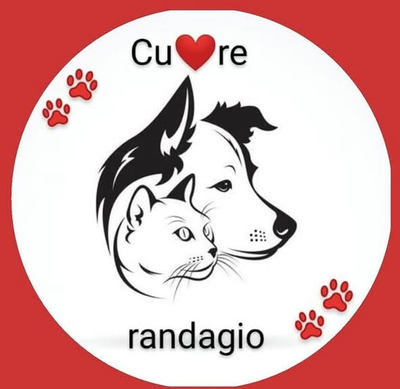 cuorerandagioveneto.org