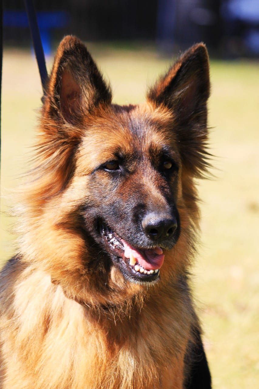 BIJU VON DER WEIDENSTRAßE