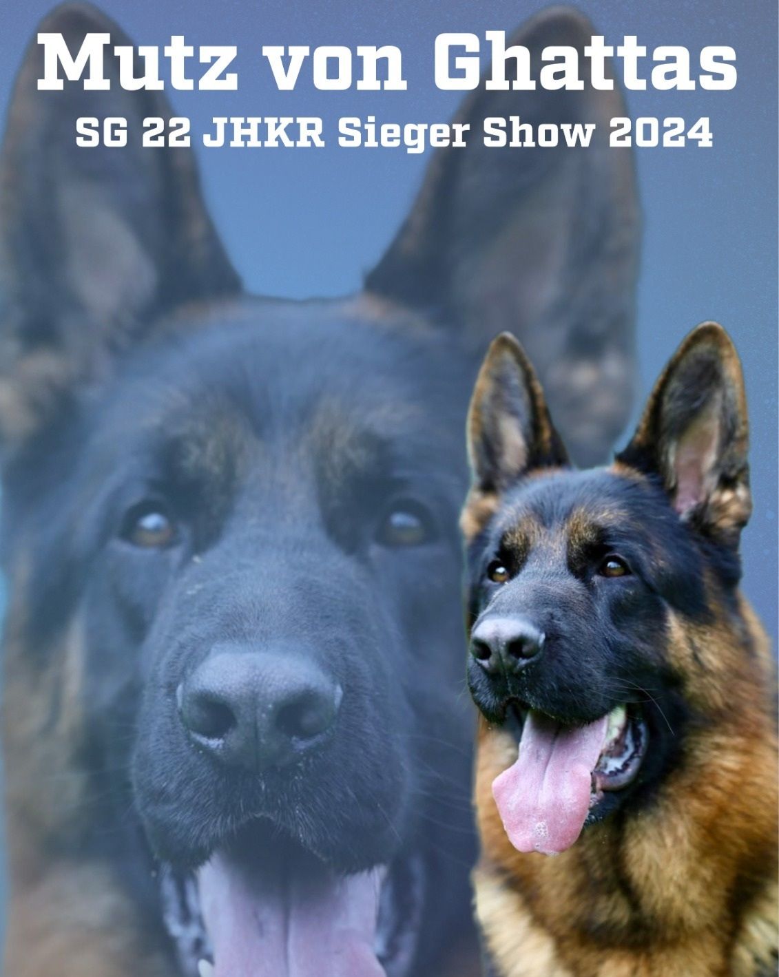 Mutz Von Ghattas(Imported)