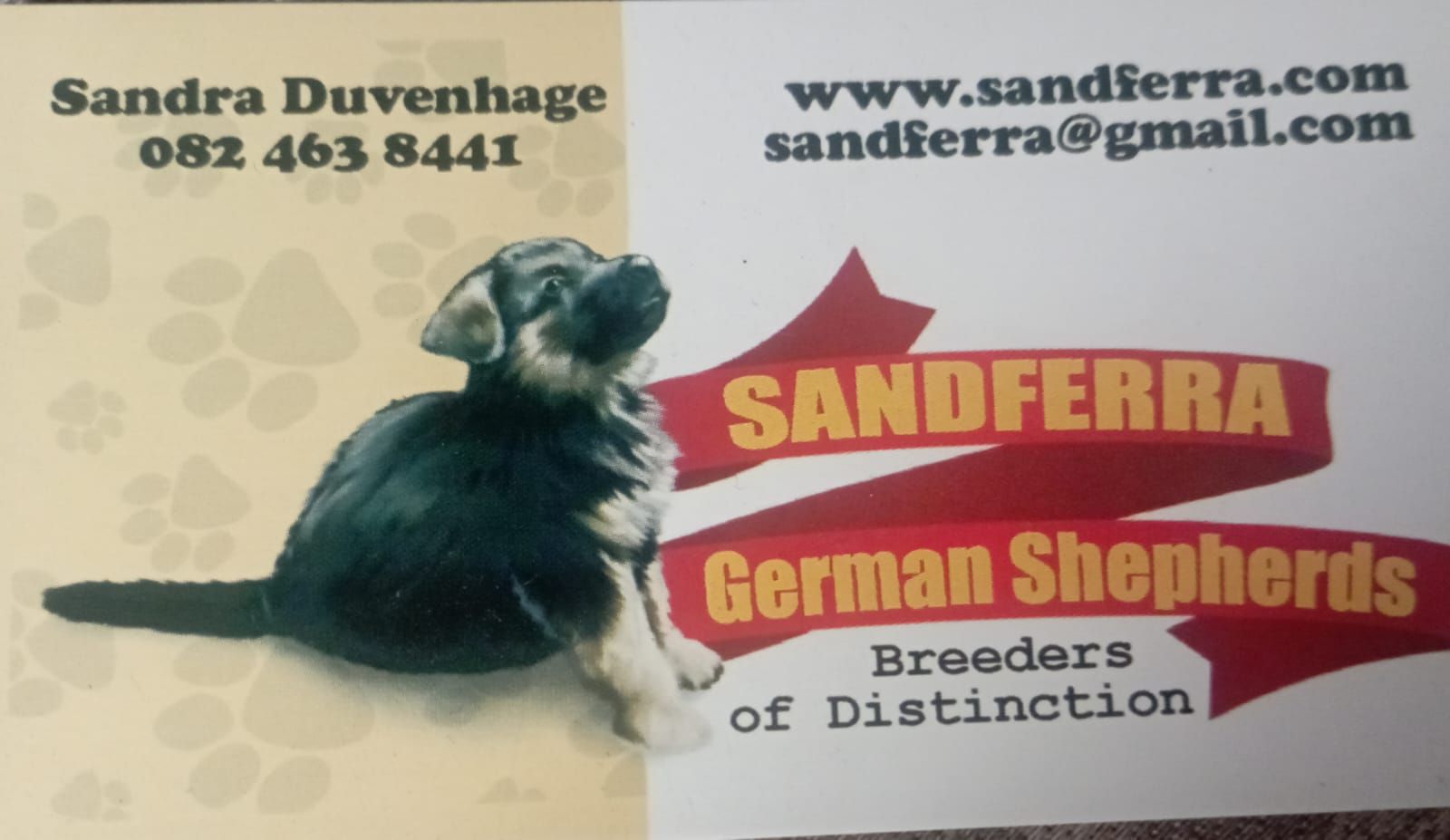 Winzor & Fe von Sandferra( Expected 26/05/2026)