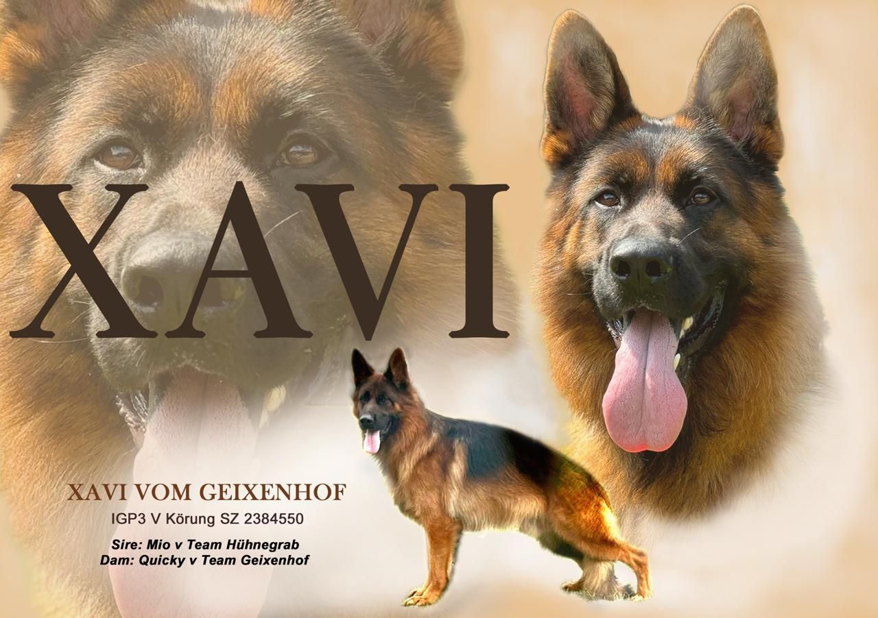 Xavi vom team Geixenhof