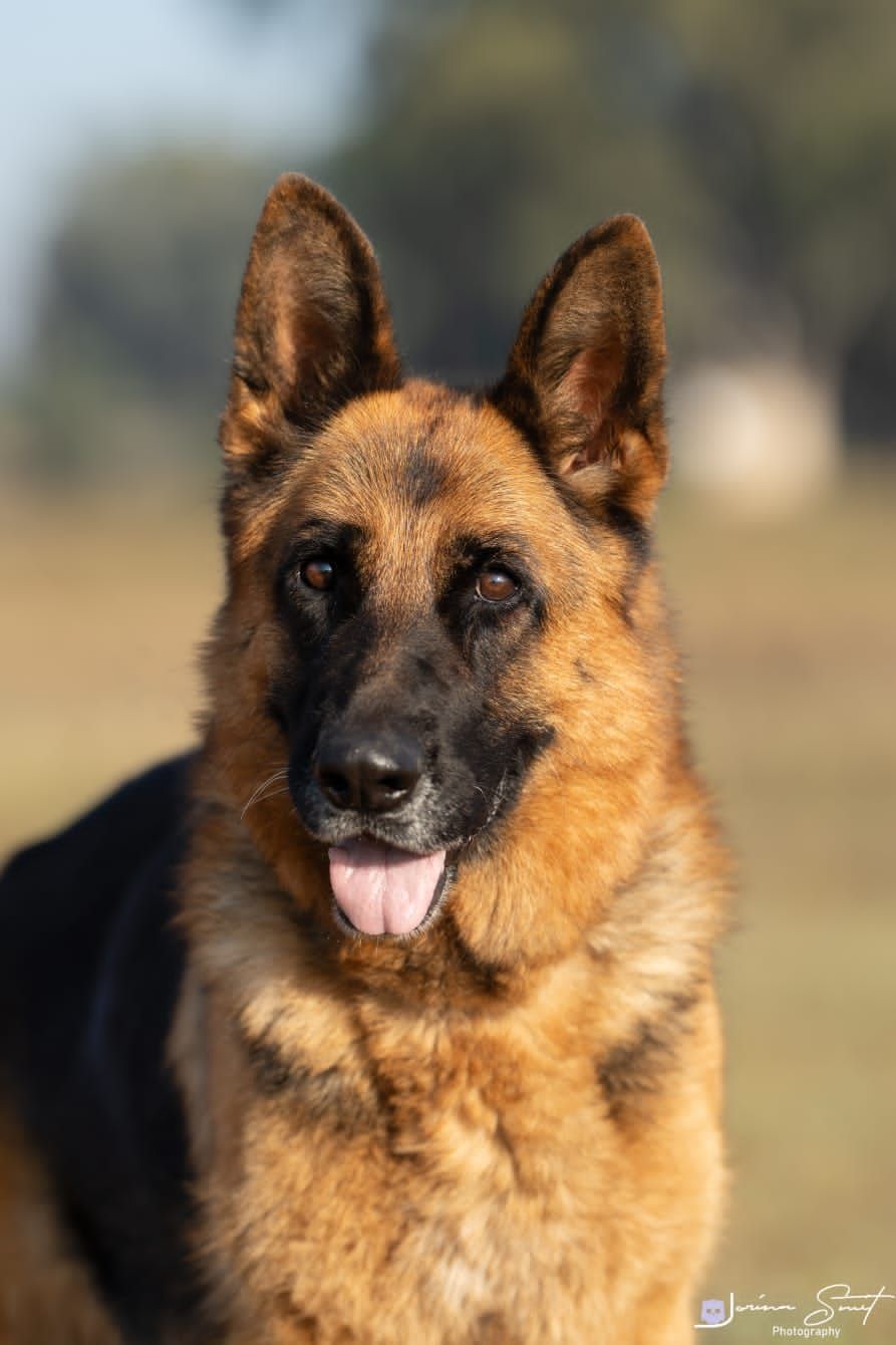 Olive Von Sandferra