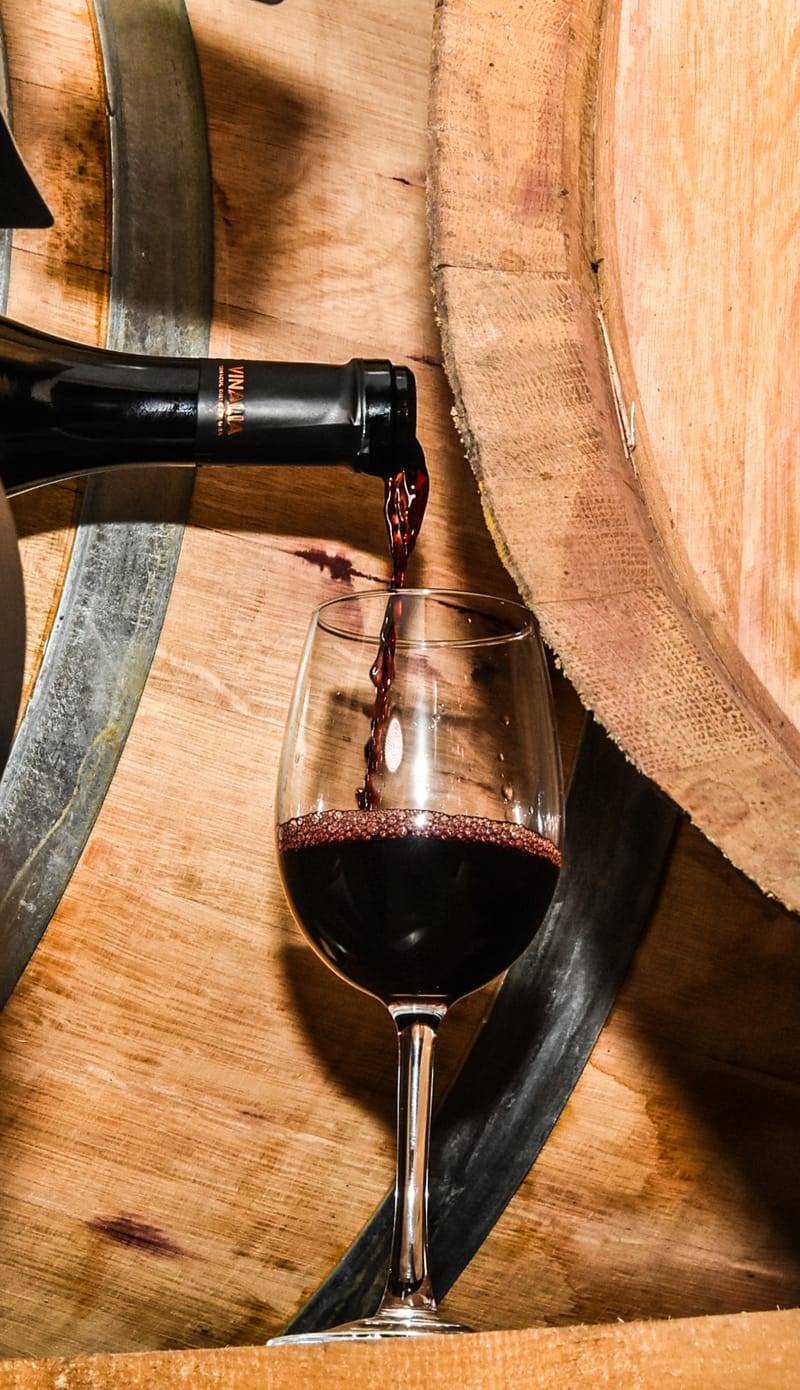 PORTRETUL TĂU ÎNTR-O ARTĂ NECONVENȚIONALĂ