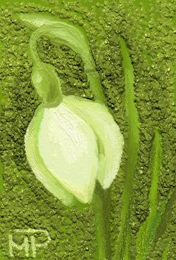 PICTURI CU NISIP COLORAT SI ALTE MATERIALE