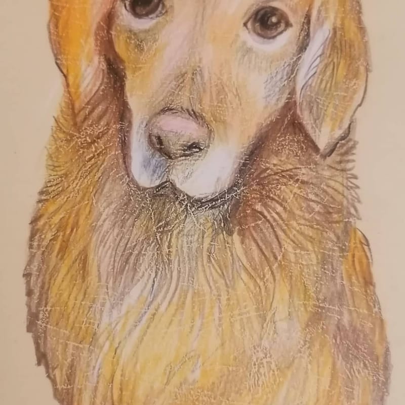 PICTURI CU NISIP COLORAT SI ALTE MATERIALE