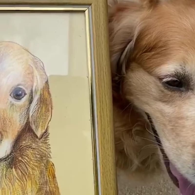 PICTURI CU NISIP COLORAT SI ALTE MATERIALE