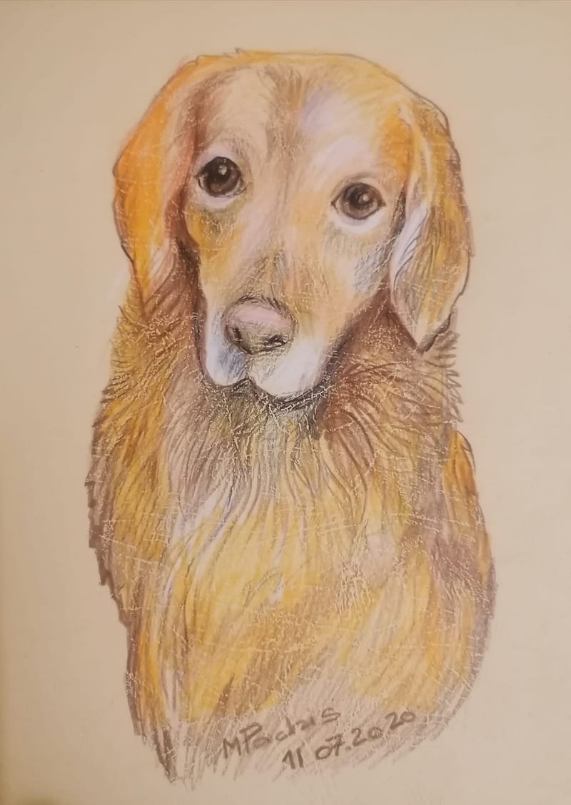 PICTURI CU NISIP COLORAT SI ALTE MATERIALE