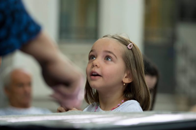 Acting - dezvoltare profesională prin actorie, arta spectacolului