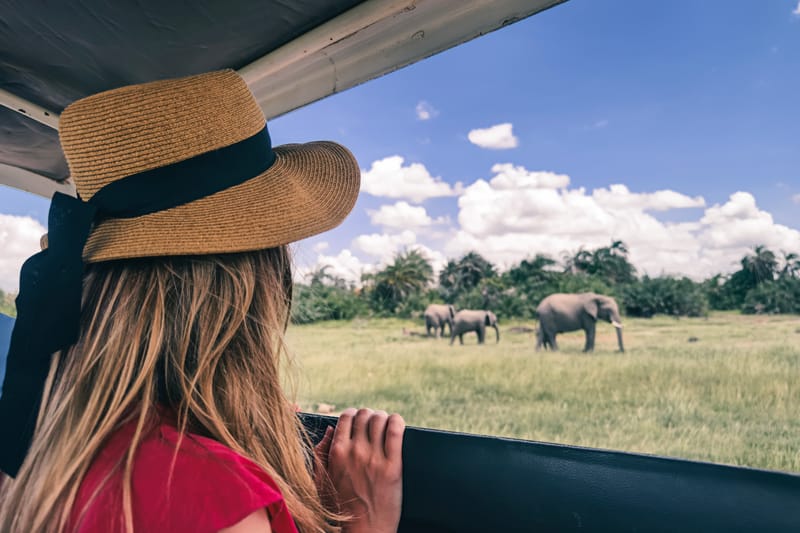 Wild & Free: South Africa Safari & Coast