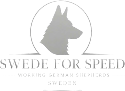 Swede For Speed