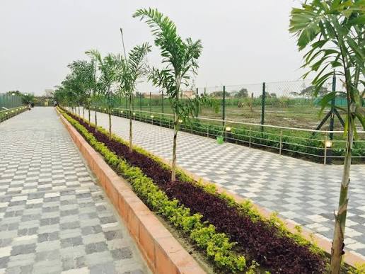 AVENUE PLANTATION