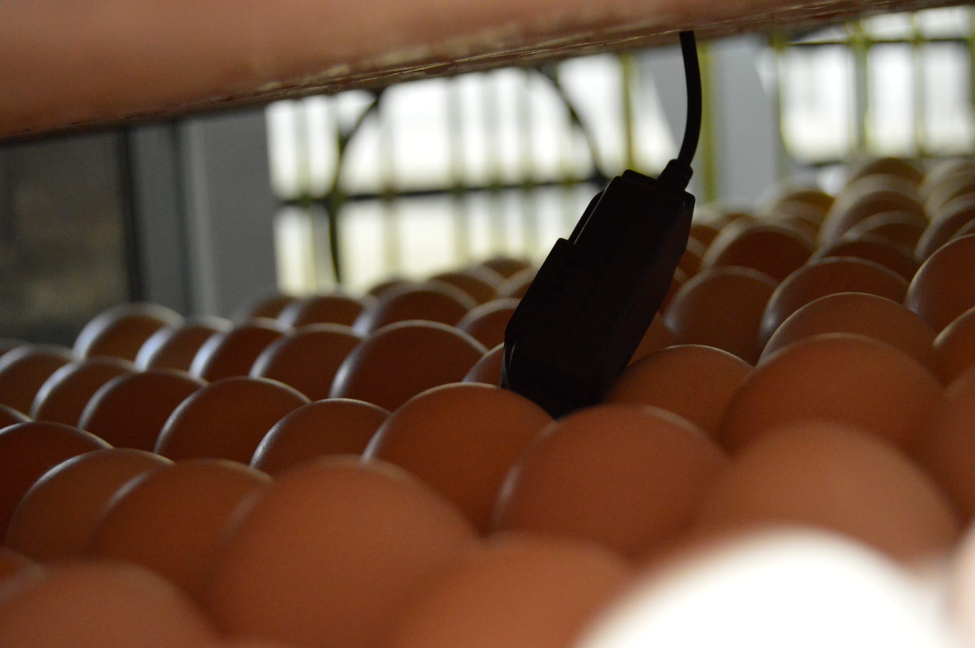 temperature and humidity sensor