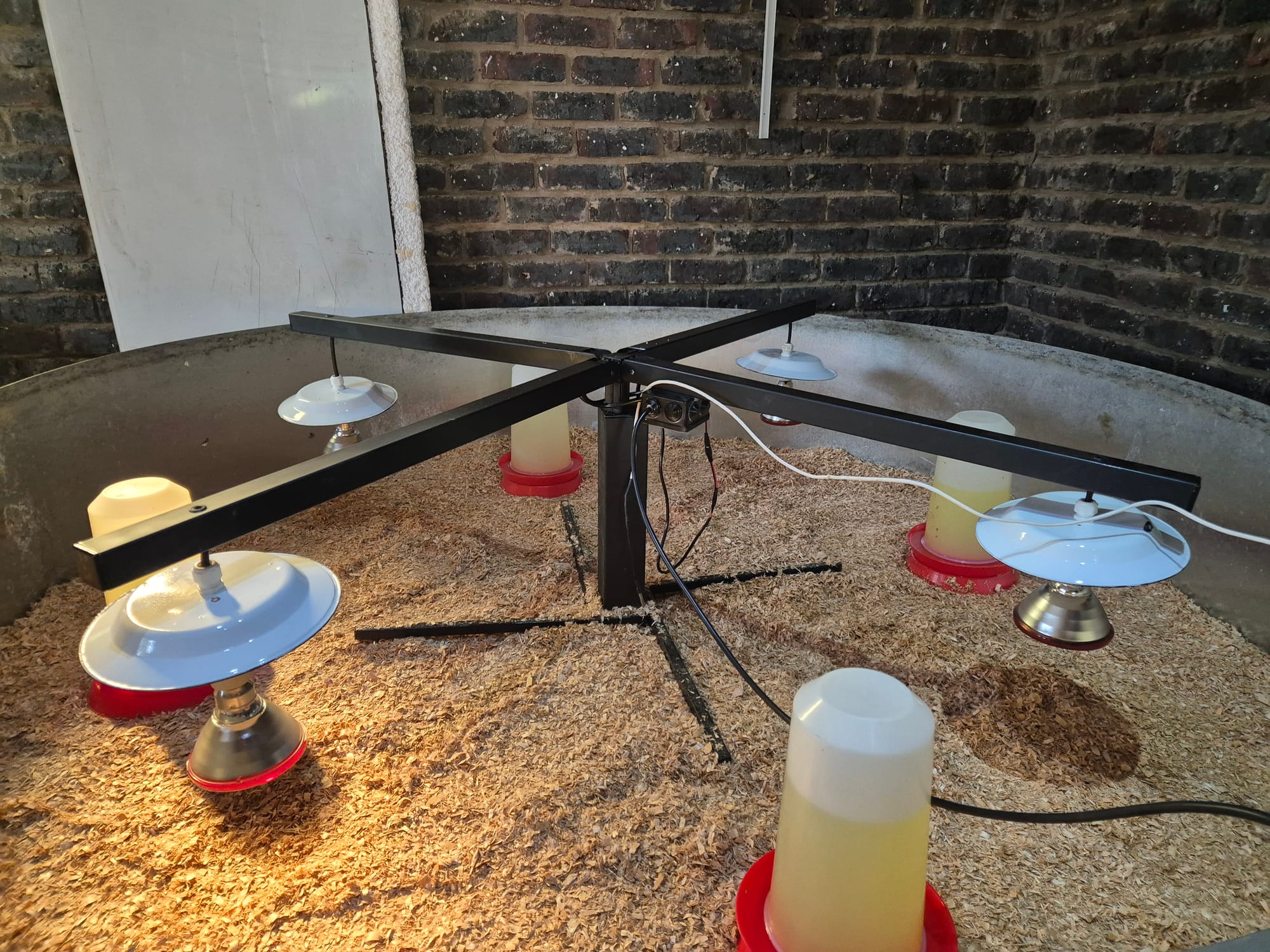 Smart automated brooder