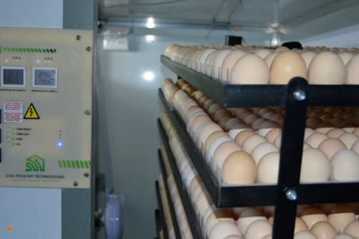 Adapting to the future:The birth of smart climate resilient incubators to mitigate against climate change.